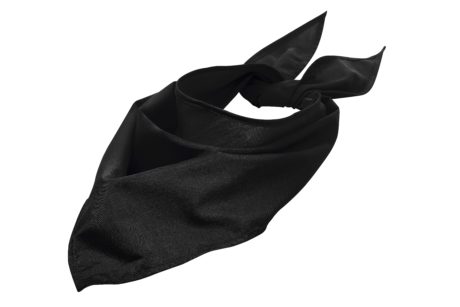 Bandana Fiesta