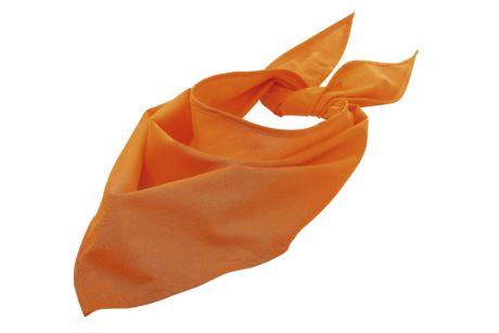 Bandana Fiesta