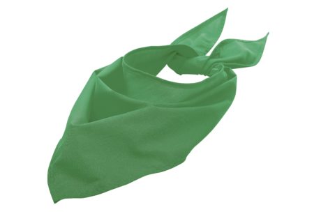 Bandana Fiesta
